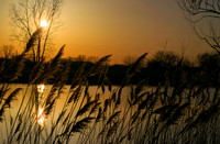 On Golden Pond