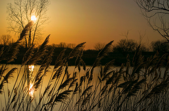 On Golden Pond
