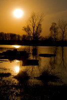 Golden Pond