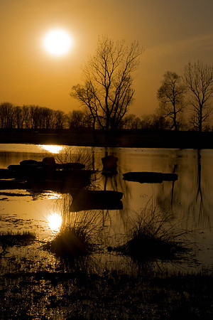 Golden Pond