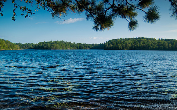 The Great Outdoors