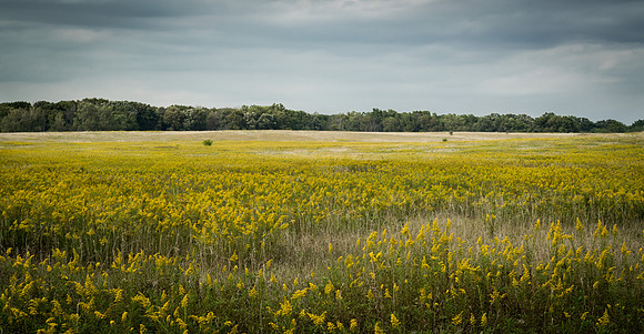 _DSC0026