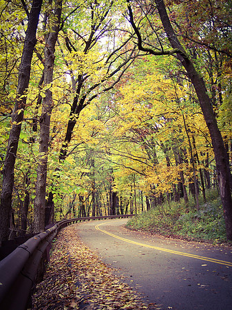 Road Less Traveled